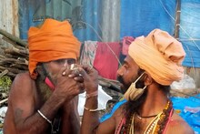 বাবু ঘাটে এখন 'বাবা'দের ভিড়, বুজরুকি, লোক ঠকানোর ব্যবসাও চলছে রমরমিয়ে