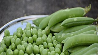 মটরশুঁটি, মসুর ডাল, বাদাম, সয়াবিন, গম ইত্যাদির মতো উদ্ভিদ-ভিত্তিক পণ্যগুলি প্রোটিনের সমৃদ্ধ উপাদান। তবে সব ক্ষেত্রে এগুলি সম্পূর্ণ পরিমাণে প্রোটিন প্রদান করে না। সয়াবিন, চিয়া বীজ, শণের বীজে নয়টি অপরিহার্য অ্যামিনো অ্যাসিড থাকে। অন্যগুলি যেমন মটরশুটি, বাদাম, শিম এবং গমে এক বা একাধিক অ্যামিনো অ্যাসিডের অভাব রয়েছে। 