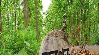 লালগড়ে আতঙ্ক লালগড়ে আতঙ্ক