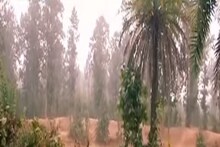 এদিকে সেদিকে রয়েছে পায়ের ছাপ, ভয়ে রাত জাগছে লালগড়! দেখুন...