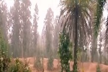 এদিকে সেদিকে রয়েছে পায়ের ছাপ, ভয়ে রাত জাগছে লালগড়! দেখুন... এদিকে সেদিকে রয়েছে পায়ের ছাপ, ভয়ে রাত জাগছে লালগড়! দেখুন...
