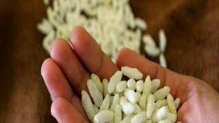 প্রতীকী ছবি প্রতীকী ছবি