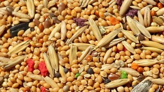 File photo File photo