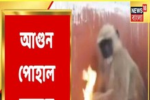 হাড় কাঁপানো ঠান্ডায় মানুষের সঙ্গে বসে আগুন পোহাল হুনুমানও, দেখুন তার কীর্তি! হাড় কাঁপানো ঠান্ডায় মানুষের সঙ্গে বসে আগুন পোহাল হুনুমানও, দেখুন তার কীর্তি!