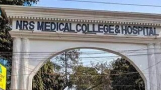 ফাইল ছবি ফাইল ছবি