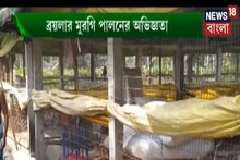 Annadata : অল ইন অল আউট পদ্ধতিতে ব্রয়লার মুরগি পালন করে কীভাবে লাভবান হতে পারেন