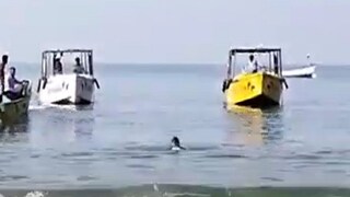 photo source YouTube photo source YouTube