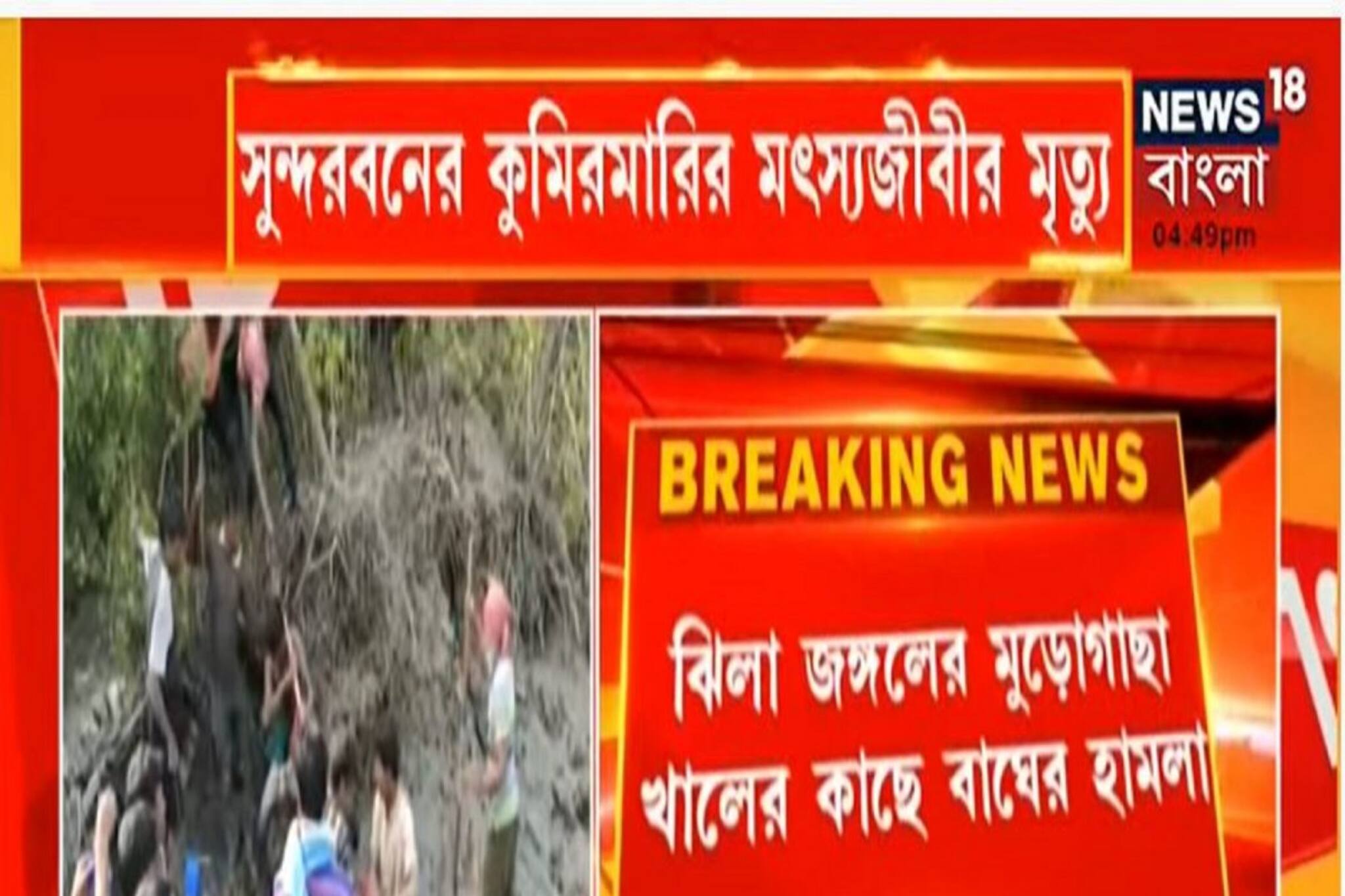বাঘের হামলায় সুন্দরবনের কুমিরমারির মৎস্যজীবীর মৃত্যু