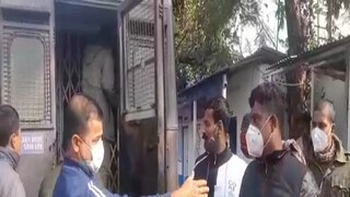 গ্রেফতার তিন