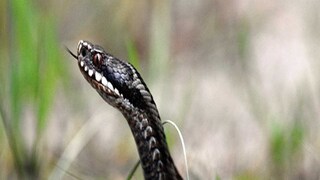 প্রতীকী ছবি