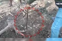 পোষা বেড়ালছানা টেনে নিয়ে গিয়েছিল! পাঁচ ফুটের গোখরো সাপ বনদফতরের হাতে, ভিডিও পোষা বেড়ালছানা টেনে নিয়ে গিয়েছিল! পাঁচ ফুটের গোখরো সাপ বনদফতরের হাতে, ভিডিও