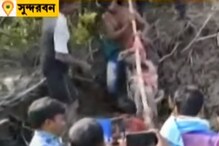 কাঁকড়া ধরতে গিয়ে মর্মান্তিক পরিণতি মত্সজীবীর, কুমিরমারীতে চাঞ্চল্য কাঁকড়া ধরতে গিয়ে মর্মান্তিক পরিণতি মত্সজীবীর, কুমিরমারীতে চাঞ্চল্য