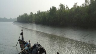 রবিবার সকালে এমনই ঘটনাটি ঘটেছে সুন্দরবন ব্যাঘ্র প্রকল্পের অন্তর্গত ঝিলা জঙ্গলে। ওই মৎস্যজীবীর নাম অরবিন্দু বিশ্বাস(৪৩)। জানা গিয়েছে, রবিবার সকালে সুন্দরবন কোস্টাল থানার কুমিরমারী গ্রাম পঞ্চায়েতের বুধবারের বাজার এলাকা থেকে তিনজন মৎসজীবী মাছ ও কাঁকড়া ধরতে যায়। সকাল ৭ টা নাগাদ ঝিলা জঙ্গলের মুড়ো গাছা খালের কাছে হঠাৎ একটি বাঘ ঝাঁপিয়ে পরে নৌকায়। কেউ কিছু বোঝার আগেই অরবিন্দুকে তুলে নিয়ে চলে যায় বাঘটি। প্রতীকী ছবি রবিবার সকালে এমনই ঘটনাটি ঘটেছে সুন্দরবন ব্যাঘ্র প্রকল্পের অন্তর্গত ঝিলা জঙ্গলে। ওই মৎস্যজীবীর নাম অরবিন্দু বিশ্বাস(৪৩)। জানা গিয়েছে, রবিবার সকালে সুন্দরবন কোস্টাল থানার কুমিরমারী গ্রাম পঞ্চায়েতের বুধবারের বাজার এলাকা থেকে তিনজন মৎসজীবী মাছ ও কাঁকড়া ধরতে যায়। সকাল ৭ টা নাগাদ ঝিলা জঙ্গলের মুড়ো গাছা খালের কাছে হঠাৎ একটি বাঘ ঝাঁপিয়ে পরে নৌকায়। কেউ কিছু বোঝার আগেই অরবিন্দুকে তুলে নিয়ে চলে যায় বাঘটি। প্রতীকী ছবি