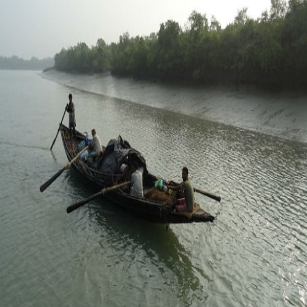 রবিবার সকালে এমনই ঘটনাটি ঘটেছে সুন্দরবন ব্যাঘ্র প্রকল্পের অন্তর্গত ঝিলা জঙ্গলে। ওই মৎস্যজীবীর নাম অরবিন্দু বিশ্বাস(৪৩)। জানা গিয়েছে, রবিবার সকালে সুন্দরবন কোস্টাল থানার কুমিরমারী গ্রাম পঞ্চায়েতের বুধবারের বাজার এলাকা থেকে তিনজন মৎসজীবী মাছ ও কাঁকড়া ধরতে যায়। সকাল ৭ টা নাগাদ ঝিলা জঙ্গলের মুড়ো গাছা খালের কাছে হঠাৎ একটি বাঘ ঝাঁপিয়ে পরে নৌকায়। কেউ কিছু বোঝার আগেই অরবিন্দুকে তুলে নিয়ে চলে যায় বাঘটি। প্রতীকী ছবি