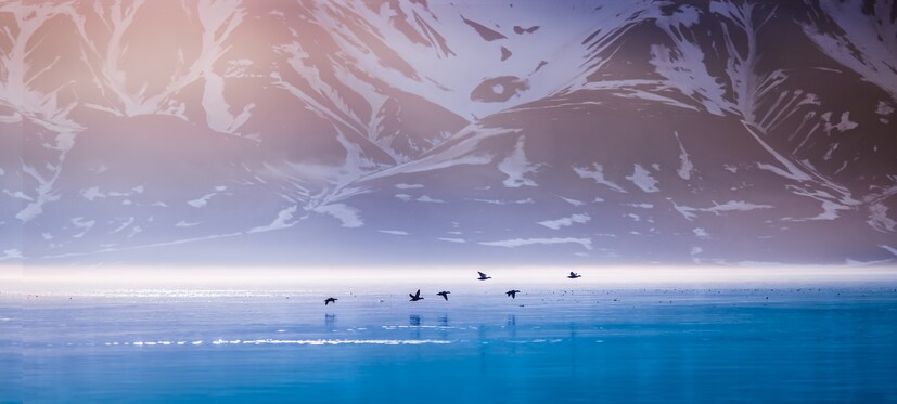 হ্যামারফেস্ট ও ভলবার্ড, নরওয়ে (HAMMERFEST &amp; SVALBARD, NORWAY)- সুমেরু বৃত্ত বা আর্কটিক সার্কলে এই অঞ্চলে এমনটাই লক্ষ্য করা যায় ৷ নরওয়ের একেবারে উত্তরে রয়েছে হ্যামারফেস্ট শহর ৷ ইউনেস্কোর ওয়ার্ল্ড হেরিটেজ সাইটের মধ্যেই স্থান পেয়েছে এটি ৷ এর পাশাপাশি SVALBARD-এ বছরে ১০ এপ্রিল থেকে ২৩ অগাস্ট পর্যন্ত সবসময়ে সূর্যের আলো থাকে ৷ (Image: Shutterstock)
