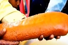 পেল্লাই সাইজের একটা মিষ্টির দাম ১০০০ টাকা ! কালনার মিষ্টির মেলায় চমক পেল্লাই সাইজের একটা মিষ্টির দাম ১০০০ টাকা ! কালনার মিষ্টির মেলায় চমক