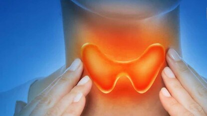 File photo File photo