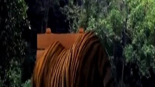 প্রতীকী ছবি প্রতীকী ছবি