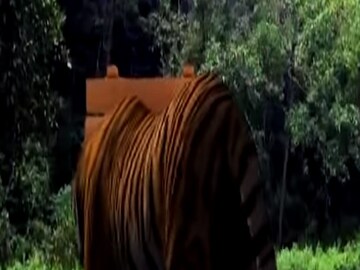 প্রতীকী ছবি