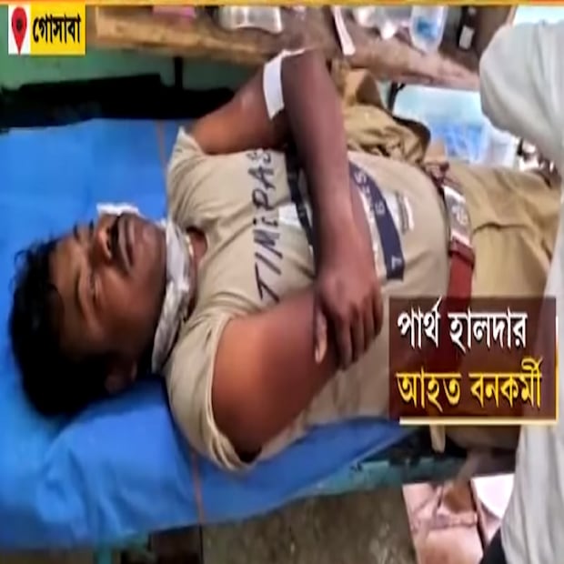 ছবিতে দেখা যাচ্ছে, কাদা ভরা জায়গায় হ্যান্ড মাইকে বাঘিনীর আওয়াজ ছাড়া হচ্ছে। বন দফতরের একাংশের আশা, বাঘিনীর আওয়াজ শুনেই বাঘ বাবাজি ঠিক ধরা দিতে পারেন জালে। 