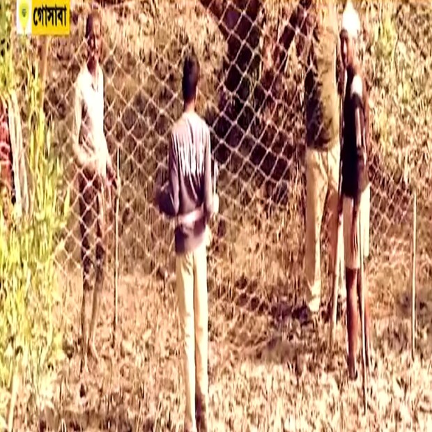 তবে, বাঘটি যাতে গ্রামের ভিতরে ঢুকতে না পারে, সেই জন্য ম্যানগ্রোভের জঙ্গলের ওই অংশ নাইলনের জাল দিয়ে ঘিরে ফেলা হয়েছে৷ সুন্দরবন কোস্টাল থানার পুলিশও ঘটনাস্থলে রয়েছে৷ বাঘের ভয় এলাকায় তীব্র আতঙ্ক ছড়িয়েছে ওই এলাকায়৷