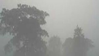 কুয়াশার সতর্কবার্তা