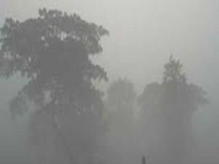 কুয়াশার সতর্কবার্তা