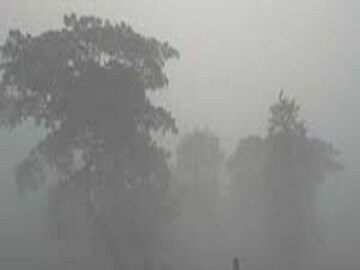 কুয়াশার সতর্কবার্তা