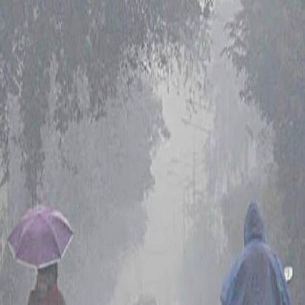 কলকাতাসহ রাজ্যজুড়ে আজও বৃষ্টির পূর্বাভাস। হালকা থেকে মাঝারি বৃষ্টি বিভিন্ন জেলায়। পশ্চিমের জেলায় বৃষ্টিপাতের পরিমাণ বেশি। বিক্ষিপ্তভাবে শিলা বৃষ্টির সম্ভাবনা। শিলা বৃষ্টি হতে পারে দার্জিলিং, কালিম্পং সহ উত্তরবঙ্গের দু-একটি জেলায়। বৃহস্পতি ও শুক্রবার মেঘলা আকাশ ও বিক্ষিপ্ত বৃষ্টির সম্ভাবনা রয়েছে। আগামী দু-তিন দিন তাপমাত্রা স্বাভাবিকের উপরেই থাকবে।
