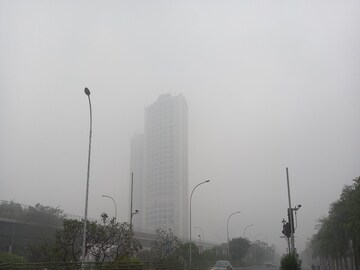 As Mumbai Shivers Amid 'Coldest January in a Decade', What IMD Says; Cold Wave Warning for Gujarat
