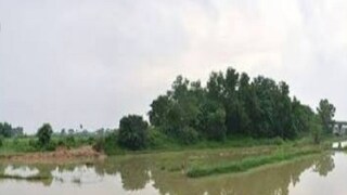 ফাইল ছবি ফাইল ছবি