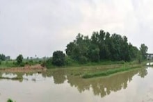Amar Bangla: সারা বাংলার বাছাই করা খবর দেখুন একনজরে