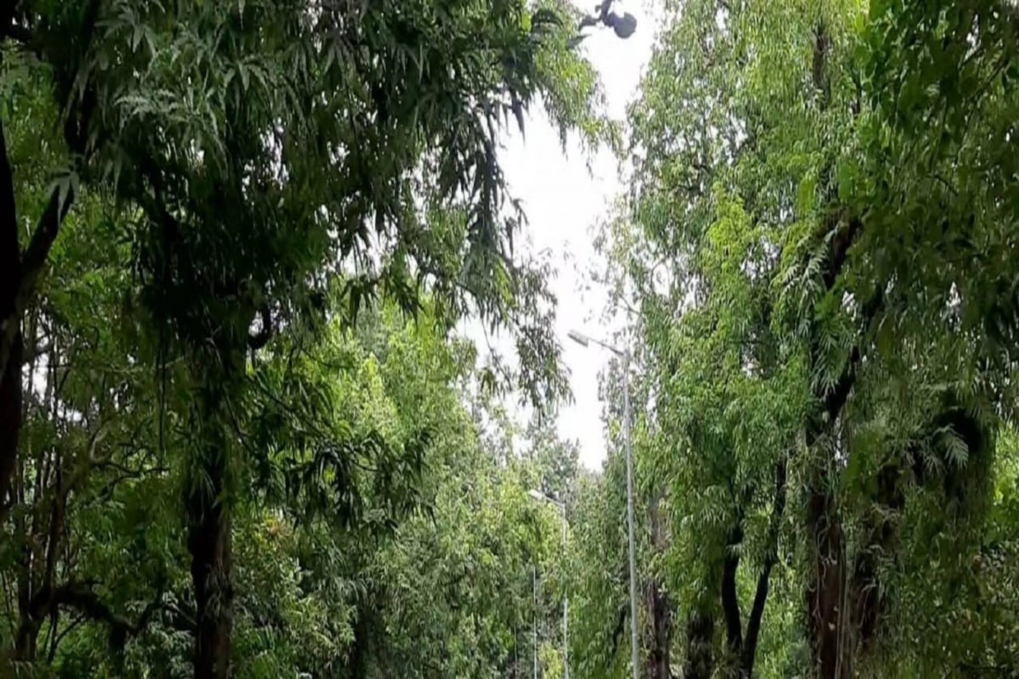 বাংলার গ্রামে-গ্রামেও গোষ্ঠী সংক্রমণ? আশঙ্কা বাড়াচ্ছে 'এই' জায়গাগুলি...