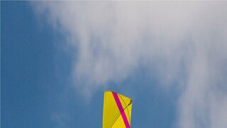 ঘুড়ি ওড়ানোয় 'ভিলেন' চাইনিজ সুতো। সংগৃহীত ছবি। 