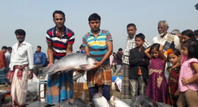 জনপ্রিয় এই মাছের মেলাকে ঘিরে আশে পাশের কয়েক জেলায় শুক্রবার দিনভর চলে আনন্দ-উৎসব। মূলত এটা জামাই মেলা বলেই আখ্যা দেওয়া হয়। কিন্তু সবাই এটাকে বলে মাছের মেলা। আর এই দিনটিকে ঘিরেই এখানে পৌষ উৎসবে মেতে ওঠেন আশেপাশের এলাকার মানুষ। এ দিনটির জন্য সারাটি বছর অপেক্ষায় থাকেন স্থানীয়রা।