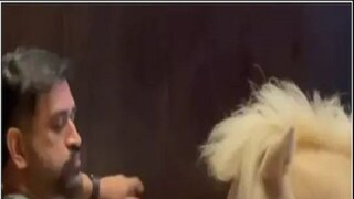 Viral Video: ms dhoni spend quality time with his pets sakshi singh dhoni shared video