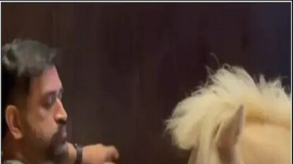 Viral Video: ms dhoni spend quality time with his pets sakshi singh dhoni shared video Viral Video: ms dhoni spend quality time with his pets sakshi singh dhoni shared video