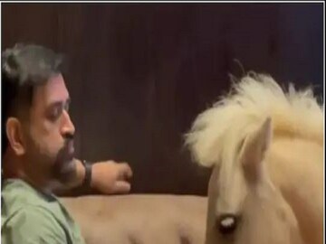 Viral Video: ms dhoni spend quality time with his pets sakshi singh dhoni shared video