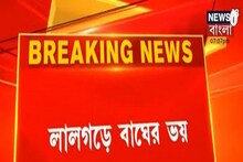 বাঘের হামলায় ক্ষতবিক্ষত ছাগলের দেহ উদ্ধার! লালগড় ভয়ে কাঁটা? আতঙ্কের দিনরাত্রি