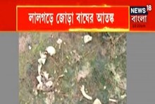 Bangla News: লালগড়ে জোড়া বাঘের আতঙ্ক গ্রামবাসীদের মধ্যে! তৎপর বনদফতর