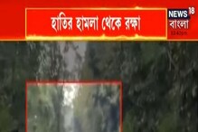 ডুয়ার্সে অল্পের জন্যে রক্ষা পেল পর্যটক দল, ছবি তোলার সময় গাড়িতে হামলা হাতির ডুয়ার্সে অল্পের জন্যে রক্ষা পেল পর্যটক দল, ছবি তোলার সময় গাড়িতে হামলা হাতির