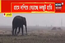 আরামবাগের মলয়পুরে হাতির হানা, গ্রামে দাপিয়ে বেড়াচ্ছে দলছুট হাতি আরামবাগের মলয়পুরে হাতির হানা, গ্রামে দাপিয়ে বেড়াচ্ছে দলছুট হাতি