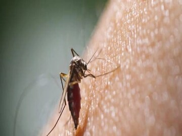 Dengue Death