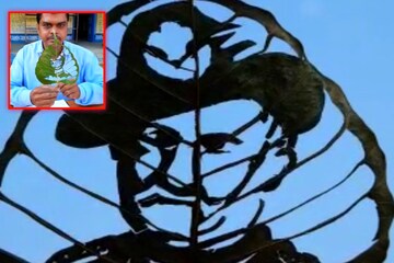 পাতায়