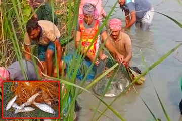 মৎস্য