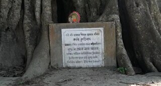 জানা যায় এই বট বৃক্ষের নীচে বসেই কৃত্তিবাস ওঝা রামায়ণ অনুবাদ করেছিলেন