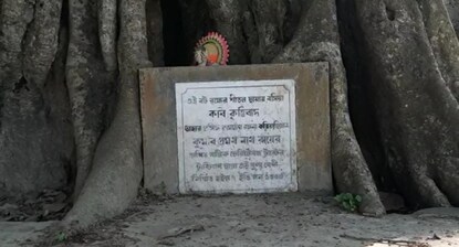 জানা যায় এই বট বৃক্ষের নীচে বসেই কৃত্তিবাস ওঝা রামায়ণ অনুবাদ করেছিলেন