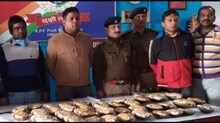 পাচারের আগেই উদ্ধার বিপুল পরিমাণ কচ্ছপ