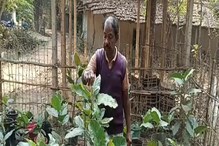 ৬৫-র গাছ দাদু পরম যত্নে লালন করে চলেছেন একের পর এক গাছ ৬৫-র গাছ দাদু পরম যত্নে লালন করে চলেছেন একের পর এক গাছ