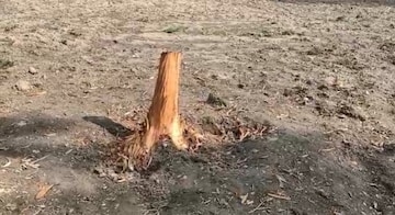 মোবারকগঞ্জে